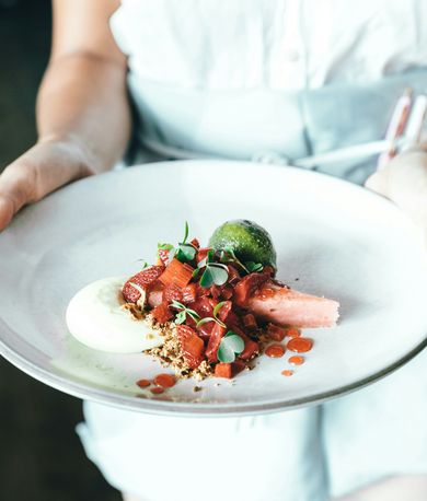 Expérience culinaire Méditerranéene